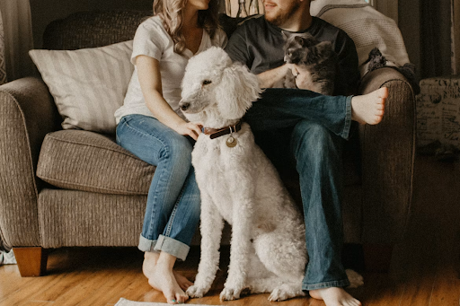 Where Pet Owners Go to Discover New Innovations in Home Hygiene